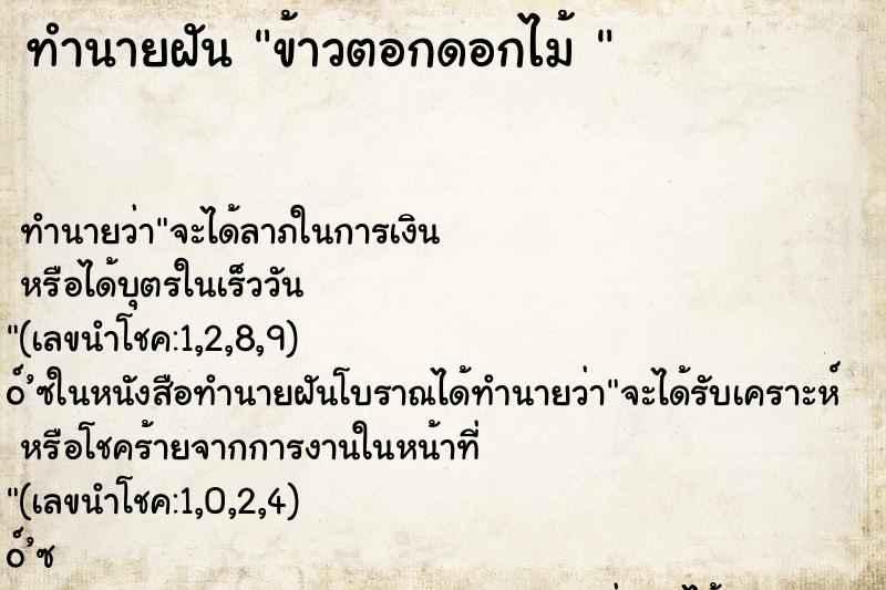 ทำนายฝัน ข้าวตอกดอกไม้ 